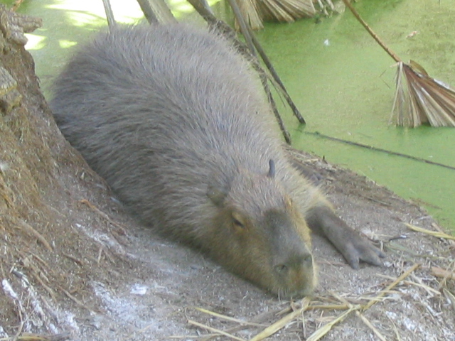 618x457 pixels (180K)